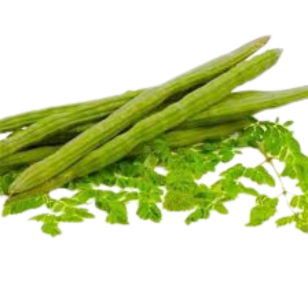 DRUMSTICK (MURUNGAIKAI)