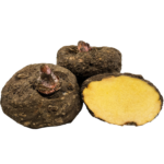 ELEPHANT YAM (KARUNAI KILANGU - SURAN)