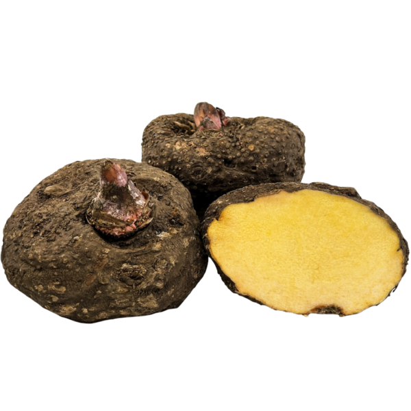 ELEPHANT YAM (KARUNAI KILANGU - SURAN)