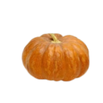 INDIAN PUMPKIN ORANGE (POOSANIKKAI)