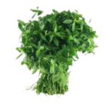 PONNANGANNI LEAVES 1 PACK