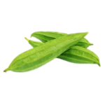 RIDGE GOURD (BEERKKANGAI – TURIYA)