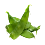 BROAD BEANS – V PAPDI (AVARAIKKAI)