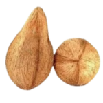 COCONUT (THENGAI)