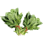 FRESH SPINACH