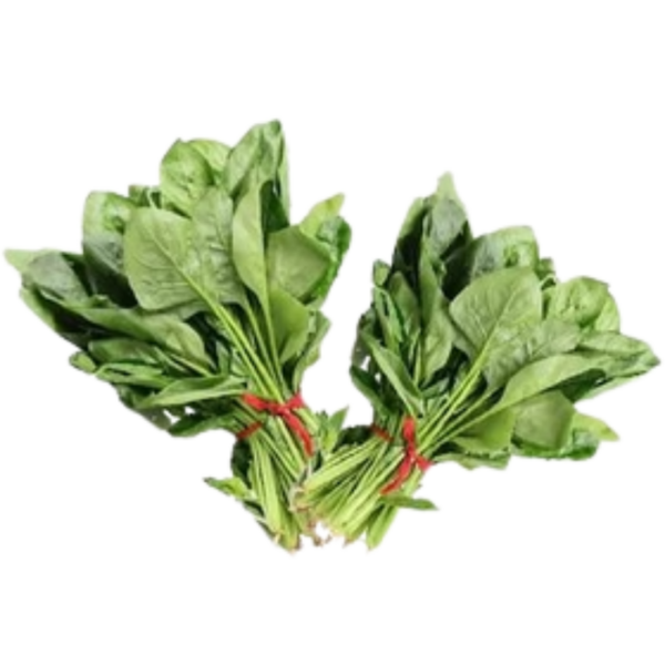 FRESH SPINACH
