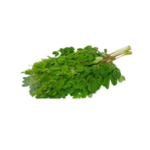 DRUMSTICK LEAVES