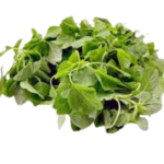 ARAI KEERAI (THOTAKURA)