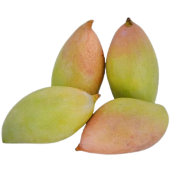 THOTAPURI MANGOES