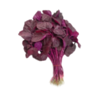 RED CHEERA (AMARANTH, THANDU KEERAI) LEAVES