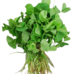 VALLARAI (CENTELLA ASIATICA) 1 BUNCH