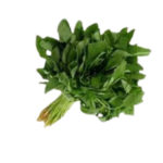 GREEN THANDU KEERAI (AMARANTHUS GREEN) 1 BUNCH