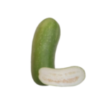 PUMPKIN WHITE (POOSANIKKAI-ASH GOURD)