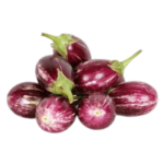 INDIAN AUBERGINE (KATHIRIKKAI)