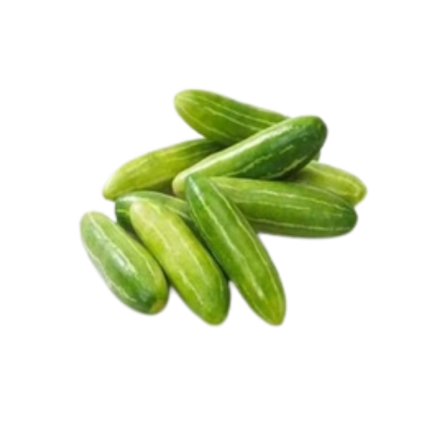 IVY GOURD (KOVAKKAI-TINDORA)