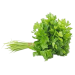 CORIANDER LEAVES 1 BUNCH