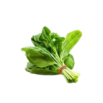 PASALI KEERAI (CLIMBING SPINACH) 1 BUNCH