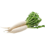 RADDISH (MULLANGI-MOOLI)