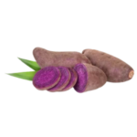RASAVALLI (PURPLE) YAM