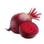 BEET ROOT